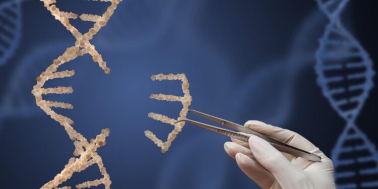 The Boston Brahmins, WASPs, and Nazis: The Pursuit of Eugenics