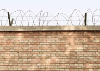 Rothbard’s Button Doesn’t Exist, but It Needs to Be Invented