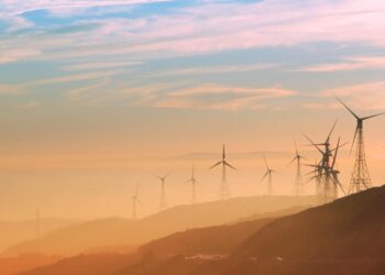 Licensing Laws Deepen South Africa’s Electricity Crisis