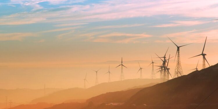 Licensing Laws Deepen South Africa’s Electricity Crisis