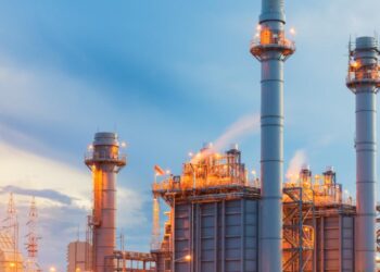 Environmentalism and the Immoral Low Ground