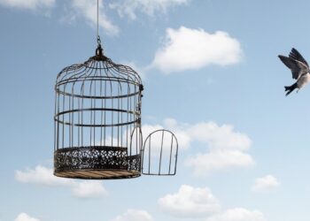 Secession Means More Choices, More Freedom, Less Monopoly Power