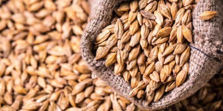 Progressives Have Corrupted Not Only Money, but Its History as Well