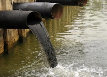 Why Government Pollution Control Fails