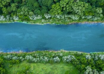 States Can Curb Federal Power through “Soft Secession”