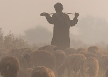 Cultural Change Is Necessary for Capital Development