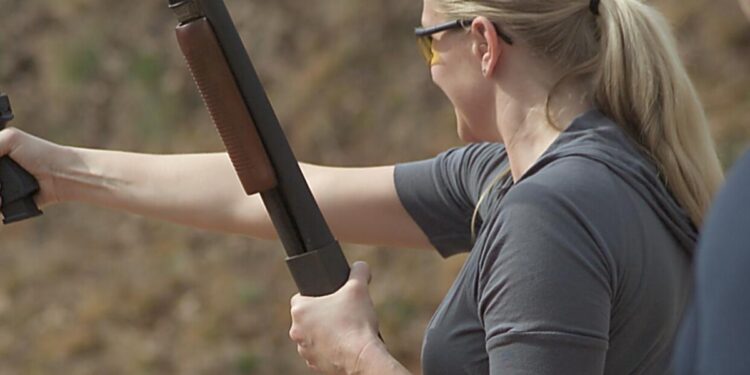 Rothbard: Gun Regulation Explained