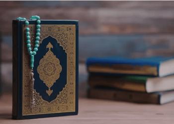 Should Muslims Really Welcome Denmark’s Proposed Anti-Blasphemy Law?