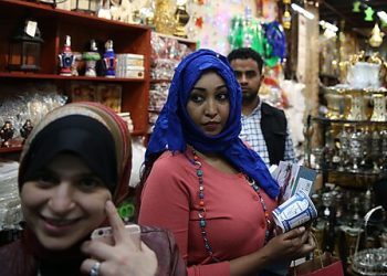 3.8 Million Middle Eastern or North Africans in the United States in 2021