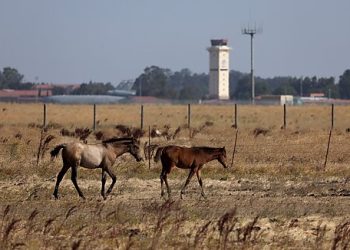 California Forever Project Must Overcome Land-Use Restrictions