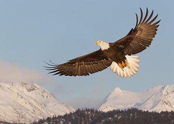 Not Just Any Fiscal Commission Will Resolve America’s Fiscal Crisis