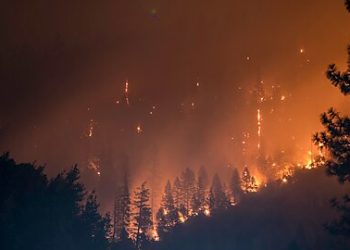 What’s Another $56 Billion in Emergency Spending?