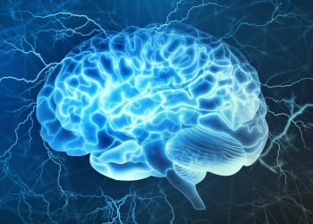 Affective Polarization Is Making Us Dumber