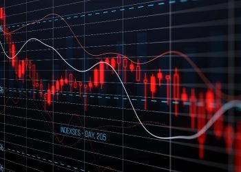 The Mixed Economy Model Still Disrupts Private Markets