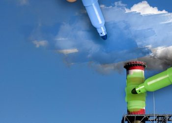 Greenwashing: A Bridge between Austrians and Environmentalists?