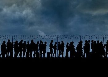 Trump’s Detention Surge Failed to Significantly Increase Removals