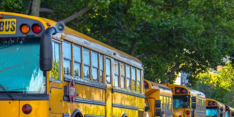 The Double-Edged Sword of School Choice