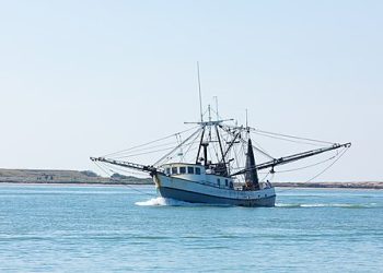 State Officials Can’t Appoint Federal Officers in Gulf Coast Fishing Case