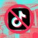 Congress Takes One Step Closer to a TikTok Ban