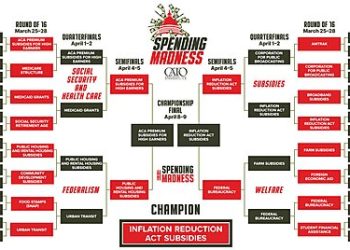 Energy Subsidies Win Spending Madness 2024