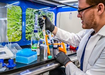 New Study Shows Decriminalization Did Not Cause Spike in Oregon’s Overdose Deaths—the Fentanyl Wave Caused It