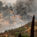 California Wildfires: Policy and Incentives