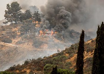 Should California Waive Environmental Laws?