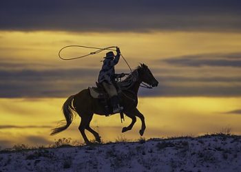 The LASSO Act Is a Distraction from Real Social Security Reform