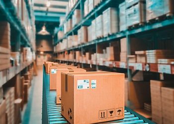 The High Costs of Eliminating De Minimis Shipping