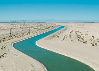 Devolve Federal Power to Reduce Division