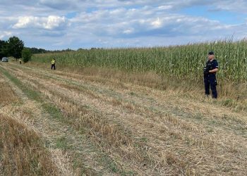 Russian drone crashes in Polish field as Warsaw protests airspace violation and plans formal complaint