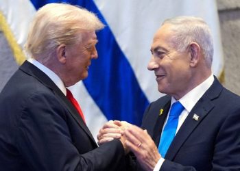 JOSH HAMMER: Case against Israel cheapens the word ‘genocide’
